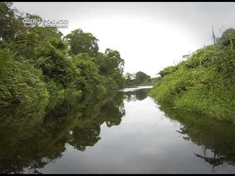 Es Honduras - Cuero y Salado смотреть онлайн