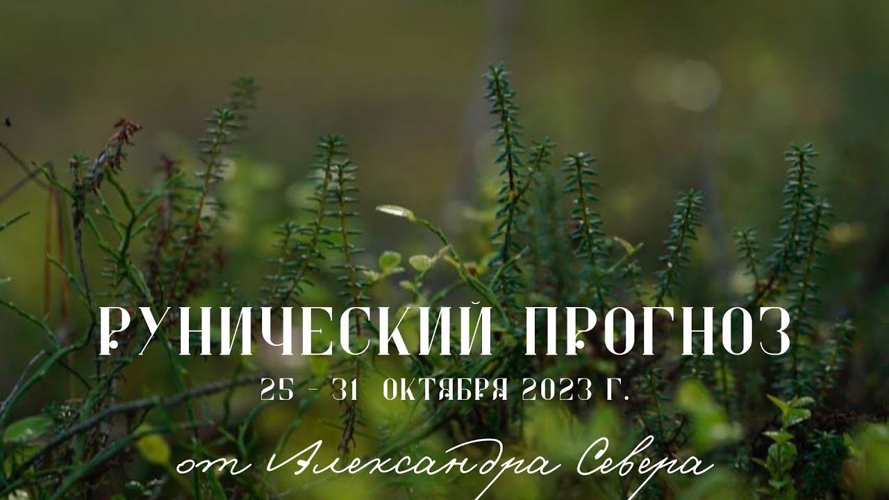 ПРОГНОЗ НА НЕДЕЛЮ | РУНЫ | Александр Север смотреть онлайн