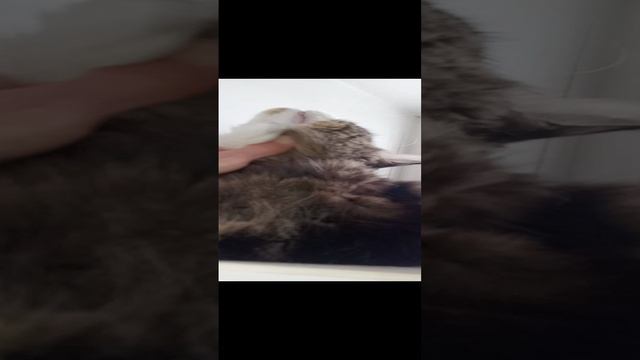 А вот.mp4 смотреть онлайн