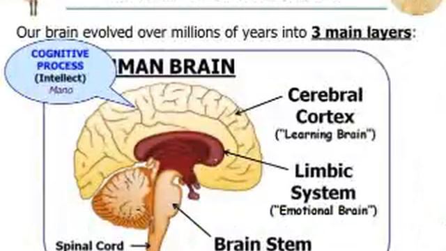 SCIENCE OF DHAMMA Session 3: The Science of Emotion with Bro. Billy Tan смотреть онлайн