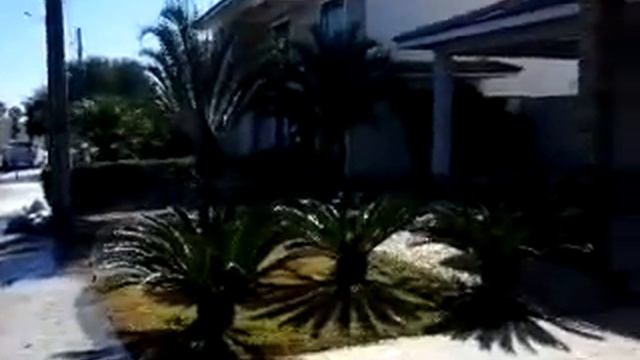 Irrigação de jardim - MP ROTATOR HUNTER (Anápolis-GO) смотреть онлайн