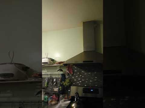 Dec 11 2018 Radiators Jaylah Kitchen Back Room Noise(3)