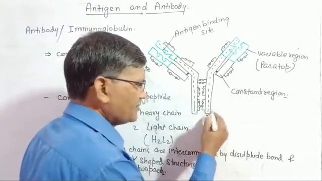 Antigen and antibodies.Health and disease.Dr Dharmvir Kumar Sinha смотреть онлайн