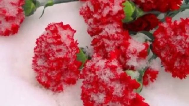 День памяти воина интернационалиста смотреть онлайн