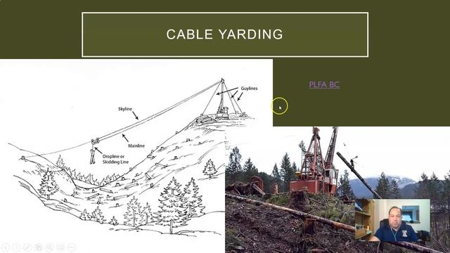 Timber Harvesting and Forest Products смотреть онлайн
