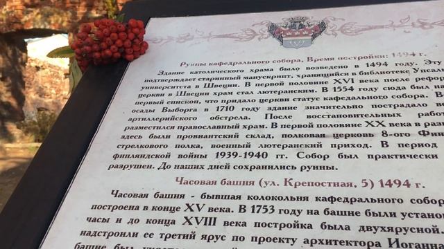 Путешествие в Выборг смотреть онлайн