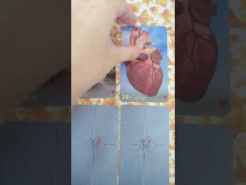 Что меня ждёт в ближайшие 3-4 дня 💓🌷💖🥰❤️🌺❣️💞💐😍 смотреть онлайн