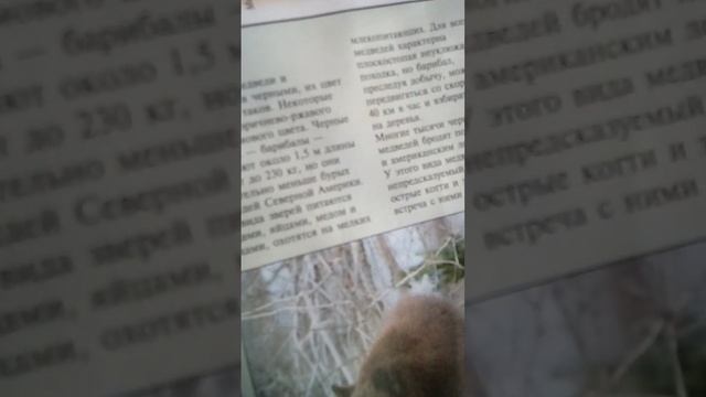 🎈🎈💝🍰🎂 смотреть онлайн