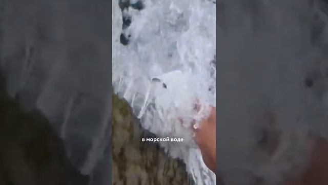 Айфон можно опускать в воду без последствий? смотреть онлайн