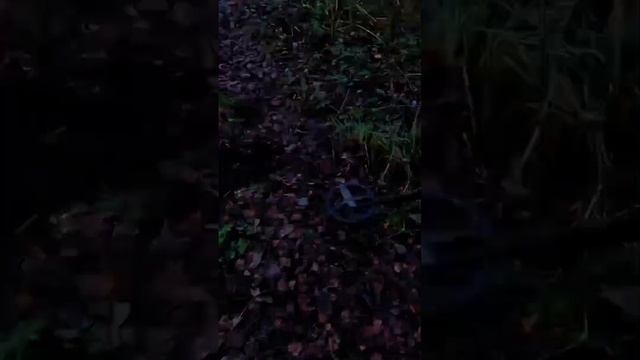 Сигнальчик! смотреть онлайн