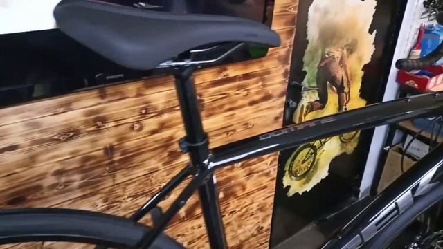 TREK DOMANE AL 2 DISC 2023 смотреть онлайн