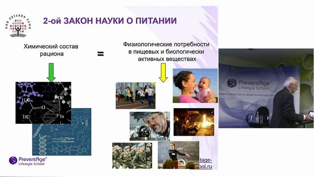 Основные законы правильного питания от Владимира Дадали смотреть онлайн