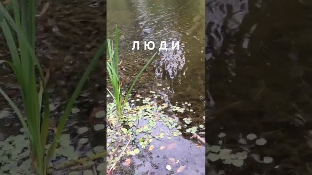 Люди. Роли. Красота! Слава Богу за всё!.. смотреть онлайн