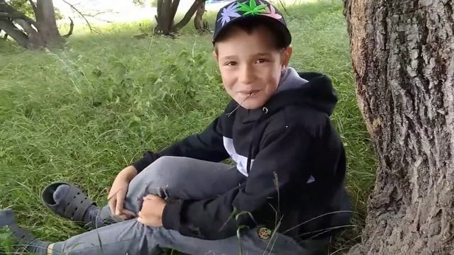 Поездка по поле | на машине смотреть онлайн