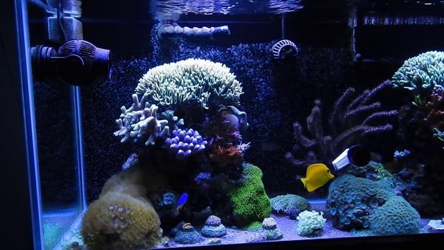 Reverse Osmosis Deionization Filter | Answering Beginner Questions Part 6