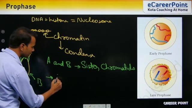 Cell Cycle and Cell Division | Biology | NEET Aspirants | Vijeta Series | RK Sir |eCareerPoint-NEET смотреть онлайн