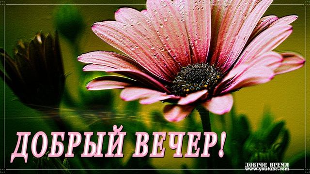 КРАСИВЫЕ ПЕСНИ ОБО ВСЁМ...ДОБРЫЙ ВЕЧЕР! смотреть онлайн