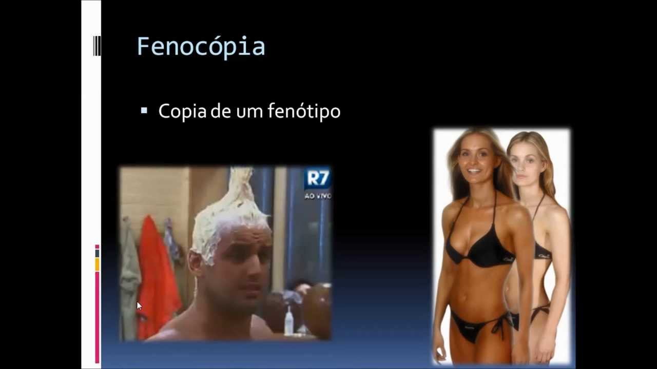 Difusão Simples-Vocabulário da Genética смотреть онлайн