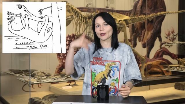 Лапки манирапторов: когти-косы и ‘культяпки’ / Елизавета Гальперина смотреть онлайн