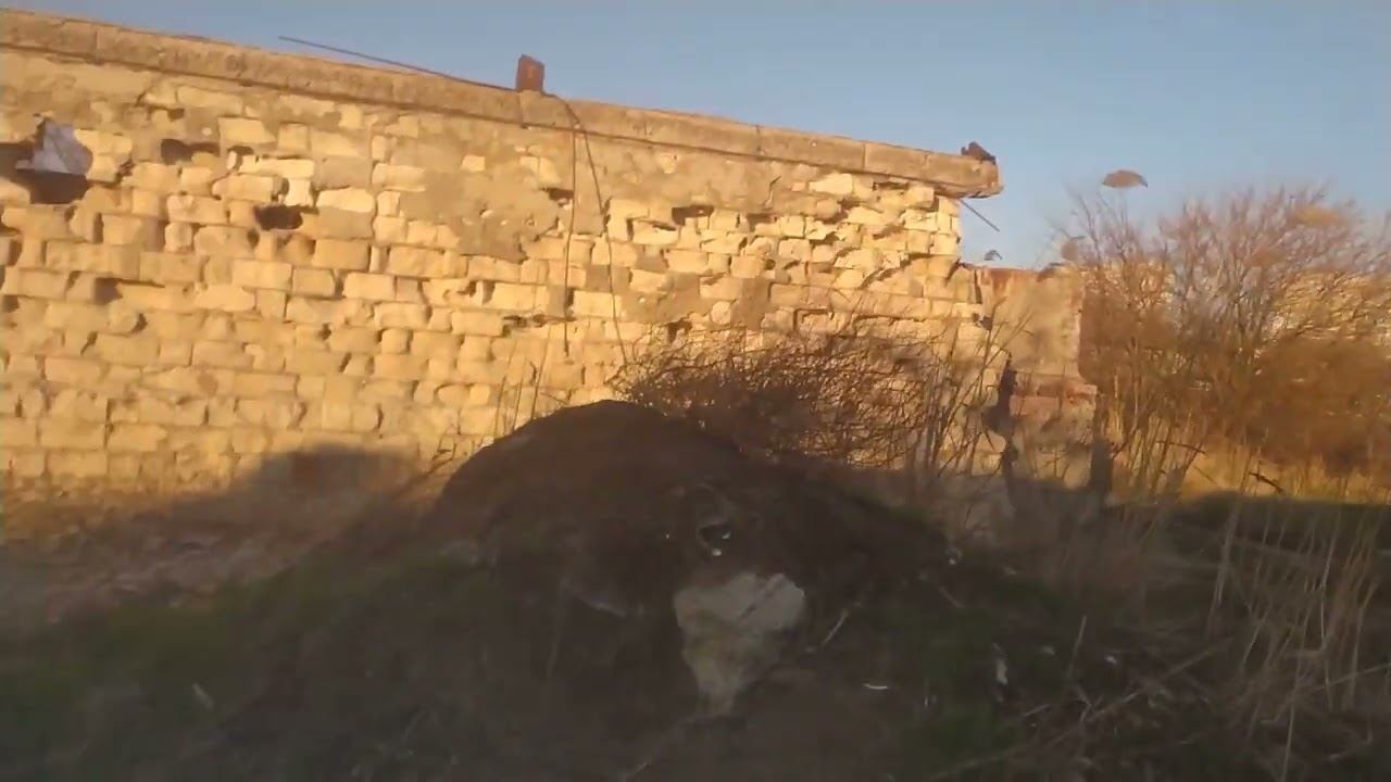 РАКУШЕЧНИК ВНЕ ЗАЩИТЫ смотреть онлайн