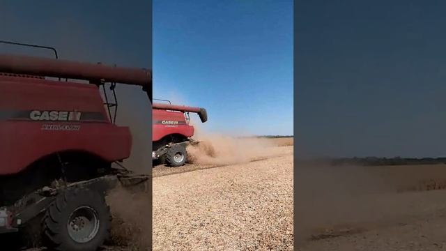 уборка сои 2020 смотреть онлайн