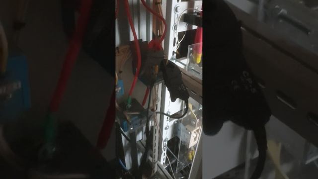 Измерение параметров ТРАНСФОРМАТОРОВ ТОКА смотреть онлайн