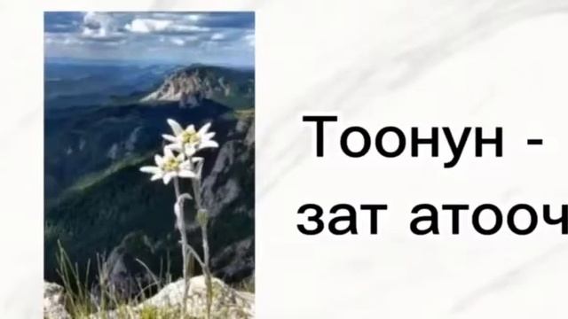 Кыргыз тил| Сапаттык жана катыштык сын атооч смотреть онлайн