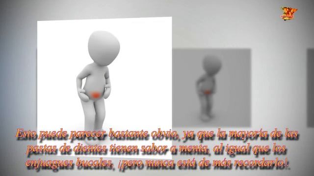 Descubre los grandes beneficios que la menta.| Noticias 24/7 смотреть онлайн