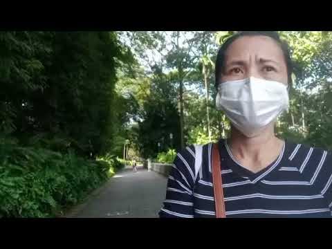 Spice Garden in Fort Canning || bharz vlogs смотреть онлайн