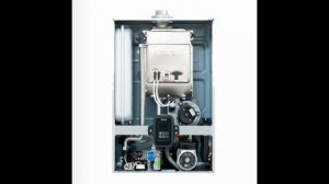 Настенный газовый двухконтурный котел Kiturami World Alpha S 24