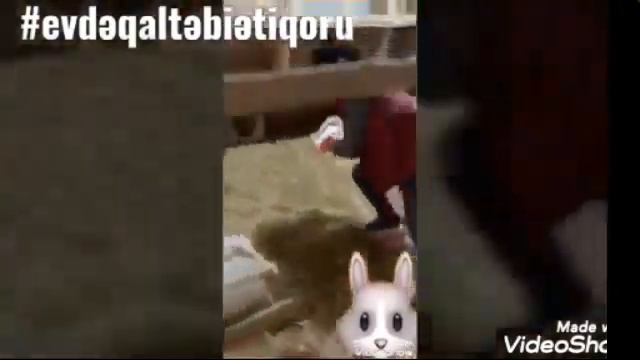 Мы без дела не сидим! - 2"Ə" класс смотреть онлайн