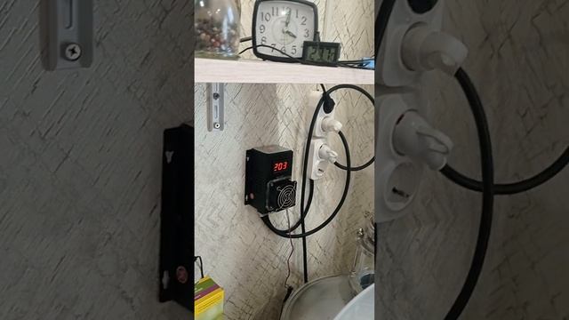 мой Франкенштейн начало работы смотреть онлайн