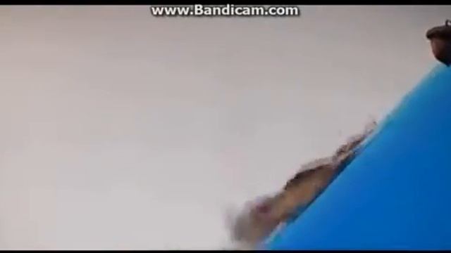 Benajandmo Falls Off the Blue Sky Studios Logo смотреть онлайн
