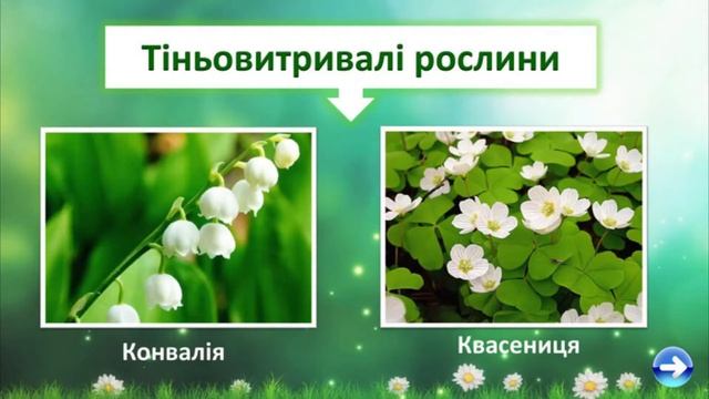 адаптація рослин до високих температур смотреть онлайн