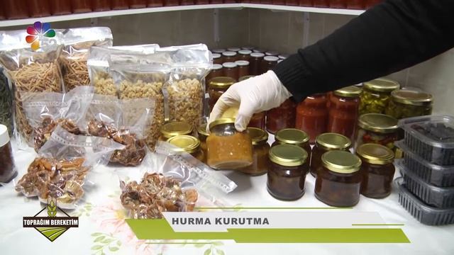 05/12/2020 TOPRAĞIM BEREKETİM - HURMA KURUTMA смотреть онлайн