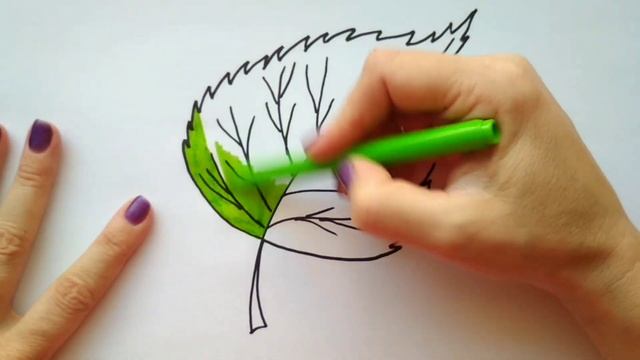 ЛИСТ БЕРЕЗЫ / раскраска БЕРЕЗОВЫЙ ЛИСТ / Нарисуй Ка смотреть онлайн