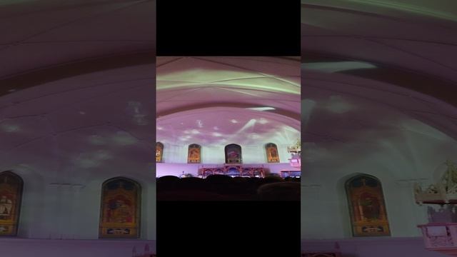 VID_20241127_211216 смотреть онлайн
