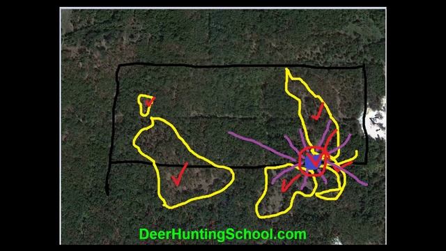 Finding Deer: Pre Scouting A Property With Aerial Photos смотреть онлайн