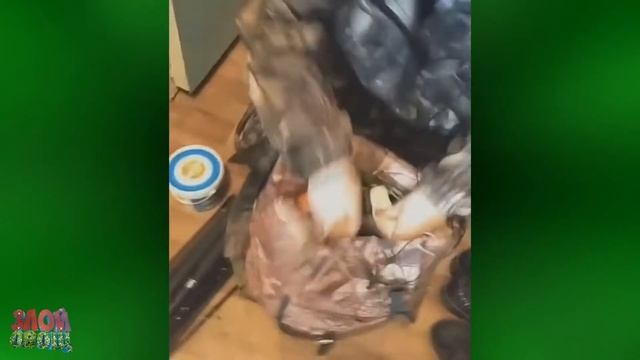 442 СЕКУНДЫ СМЕХА ДО СЛЁЗ l ЛУЧШИЕ ПРИКОЛЫ ЗА МАЙ l ЗЛОЙ ОВОЩ #1 смотреть онлайн