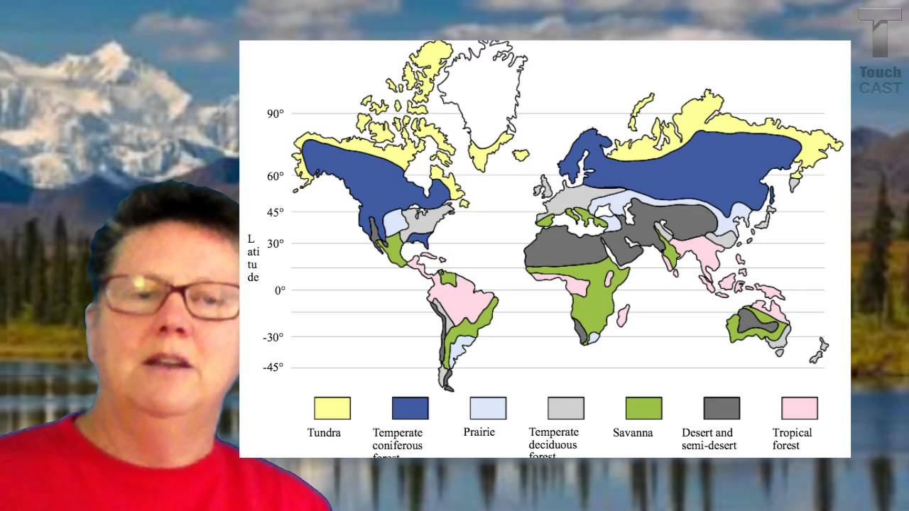 Biomes 1 смотреть онлайн