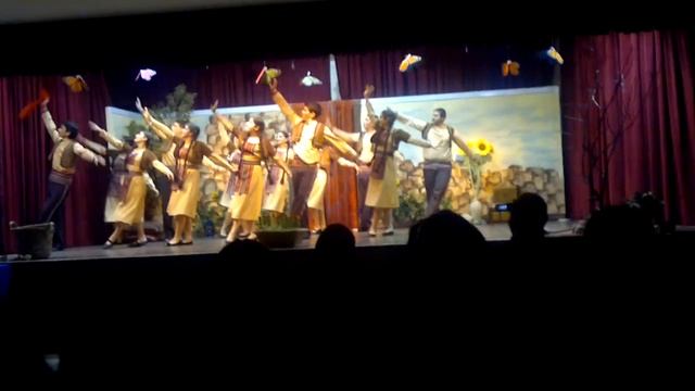 Armenian Folk Dance - Sardarabad