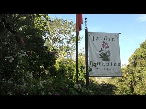 Puerto Vallarta, Botanic garden/ Пуэрто Вайярта, Ботанический сад смотреть онлайн