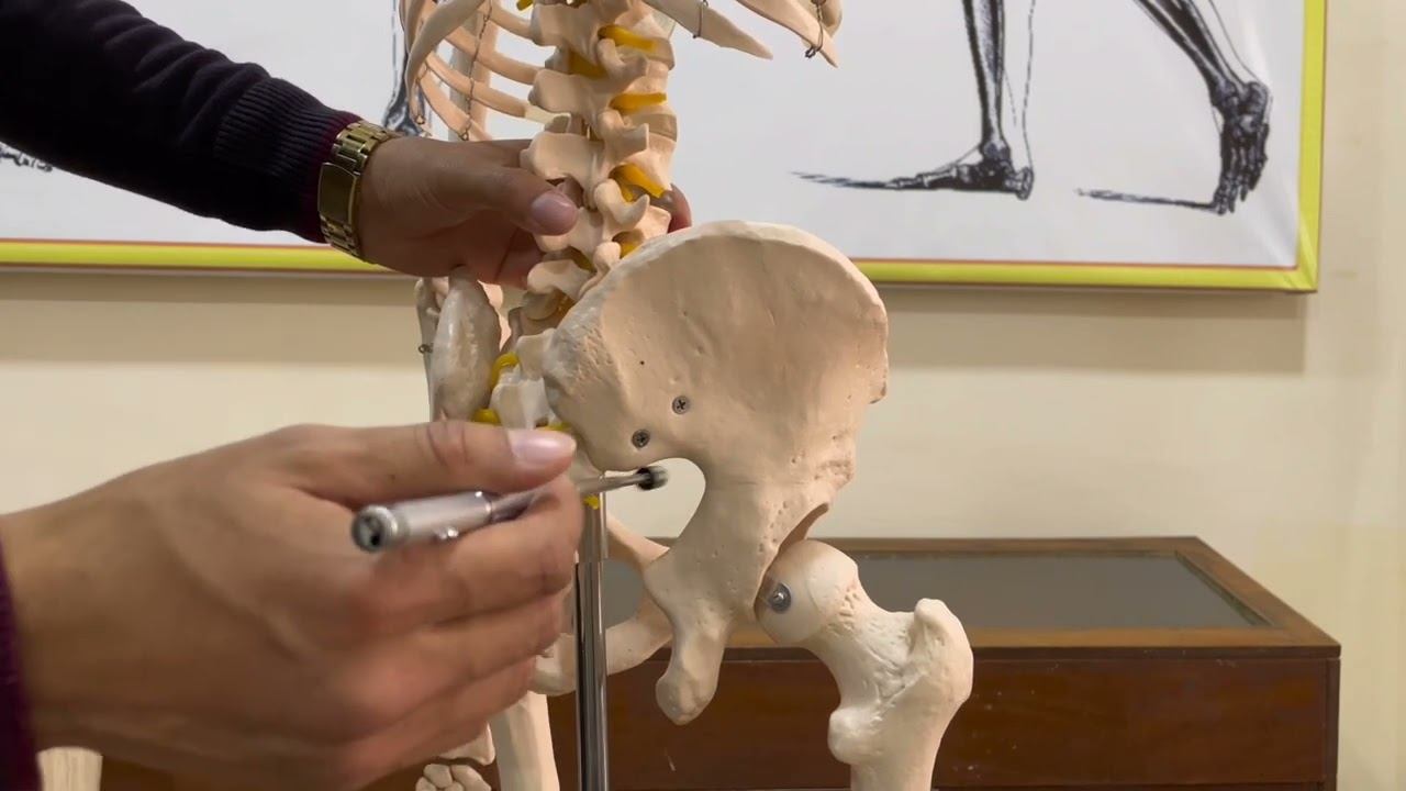 Anatomiya 11-dars.Chanoq Suyagi.