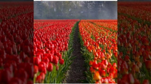 9. Мысли из цикла 