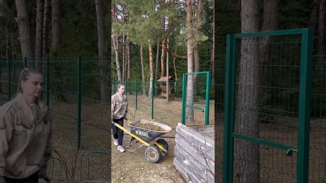 28 марта 2024 г. смотреть онлайн