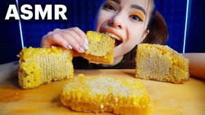 ASMR RAW HONEYCOMB MUKBANG (No Talking) 먹방 EATING SOUNDS | KATE SMIT АСМР МЕД МУКБАНГ