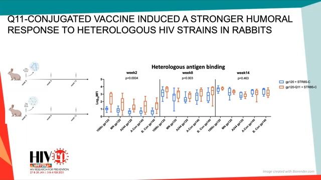 2020 HIVR4P Self-assembling peptide nanofiber as a vaccine platform for HIV смотреть онлайн