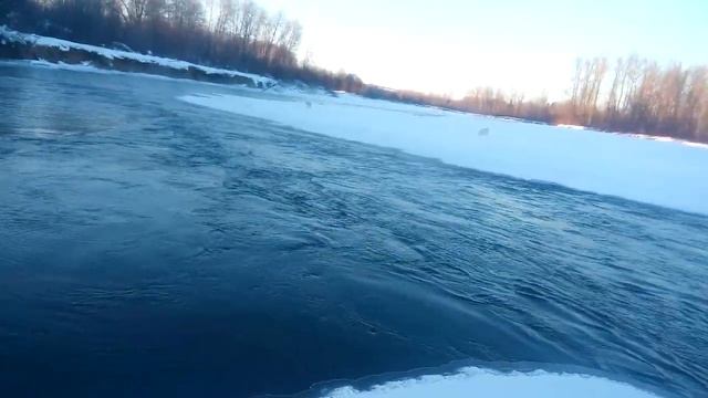 Добыл лису! МР-18МН 308win. смотреть онлайн