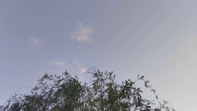 Роман 8 лет, без никотина смотреть онлайн