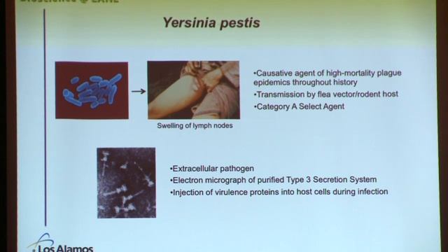 "Our Biosecurity Mission: From Radiation Biology to the Plague" смотреть онлайн
